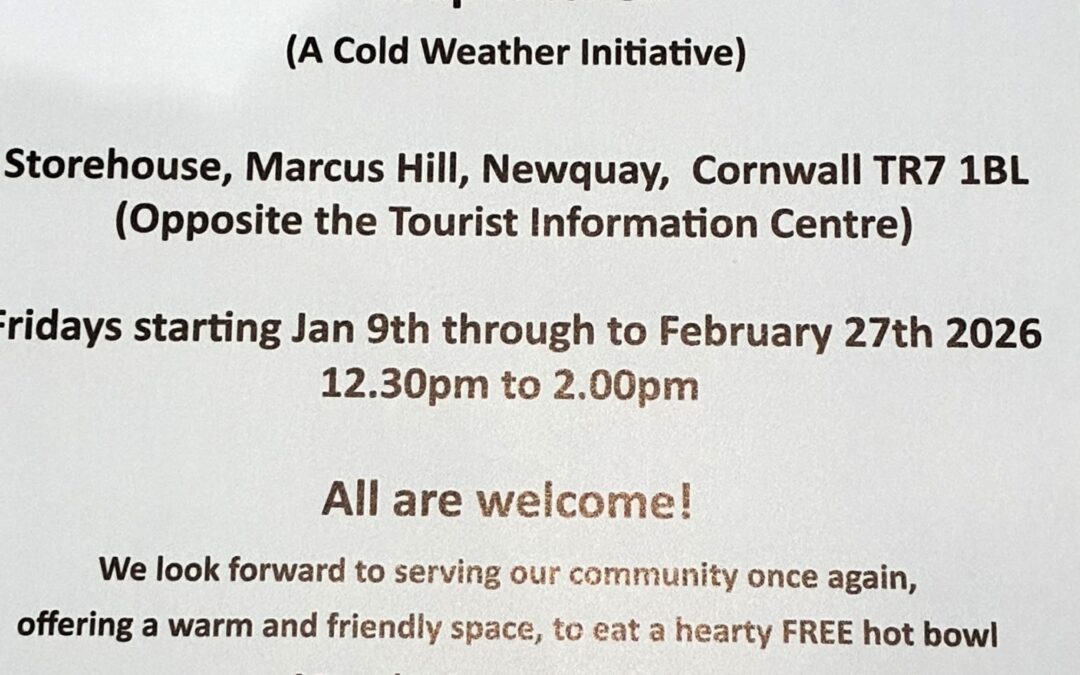 Towan Blystra Lions Food Bank and Pot Noodle Ministries Donations