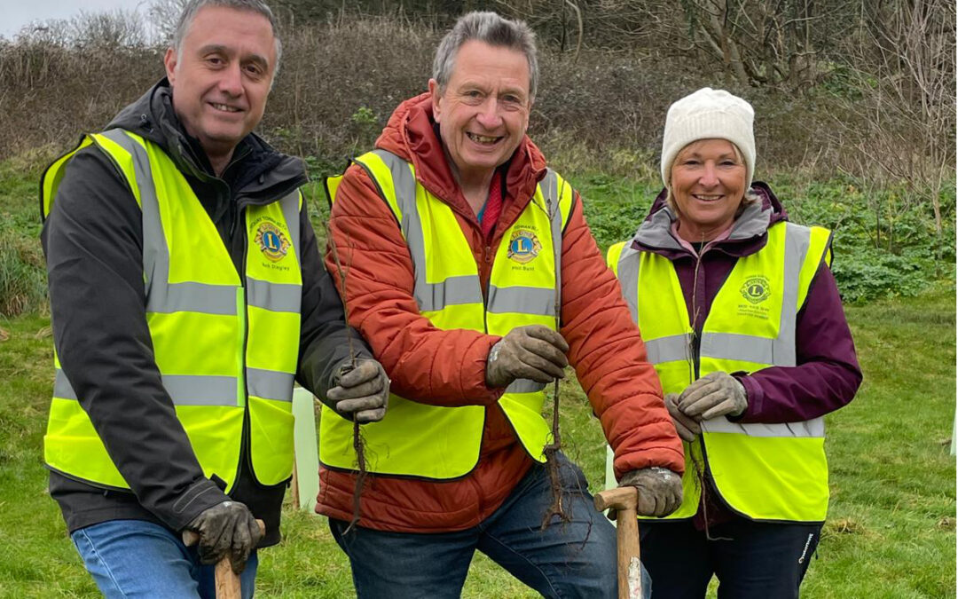 Lions helping form a new orchard